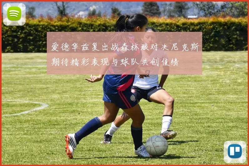 爱德华兹复出战森林狼对决尼克斯期待精彩表现与球队共创佳绩