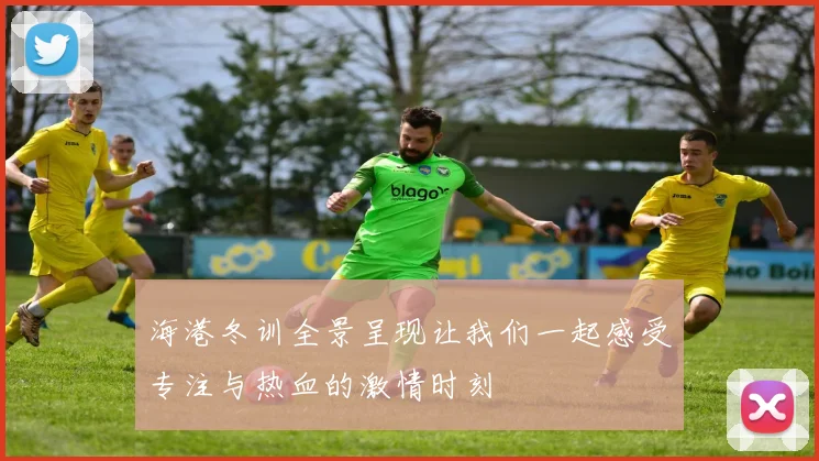 海港冬训全景呈现让我们一起感受专注与热血的激情时刻
