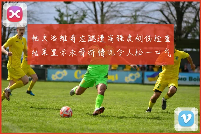 帕夫洛维奇左腿遭高强度创伤检查结果显示未骨折情况令人松一口气