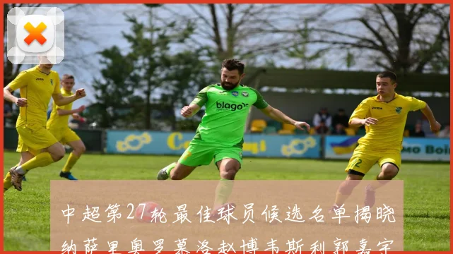 中超第27轮最佳球员候选名单揭晓纳萨里奥罗慕洛赵博韦斯利郭嘉宇争夺荣誉