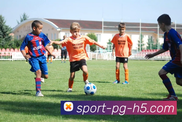 南宫体育服务体系